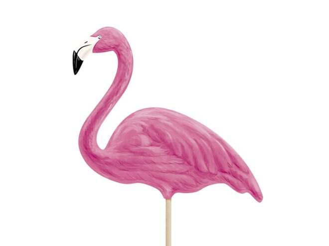 Flamingo prikkers