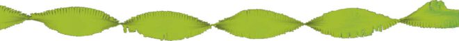Draaiguirlande (24m) - Lime Groen