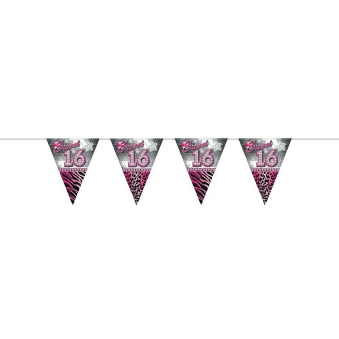 Roze-zilveren Sweet Sixteen vlaggenlijn met daarop de tekst 'Sweet 16' in roze met diamantjes.