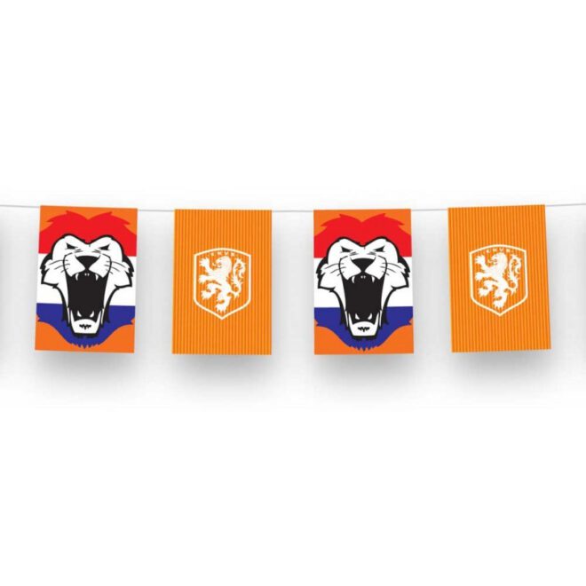 Vlaggenlijn met afwisselend oranje vlaggetjes met het KNVB-logo en een leeuw op rood-wit-blauwe achtergrond.