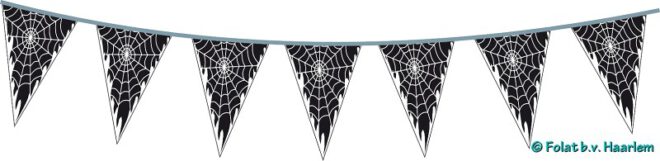 Vlaggenlijn spinneweb - 10m