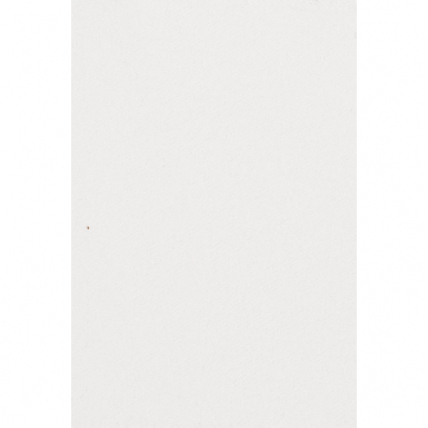 Papieren tafelkleed wit 137 x 274 cm