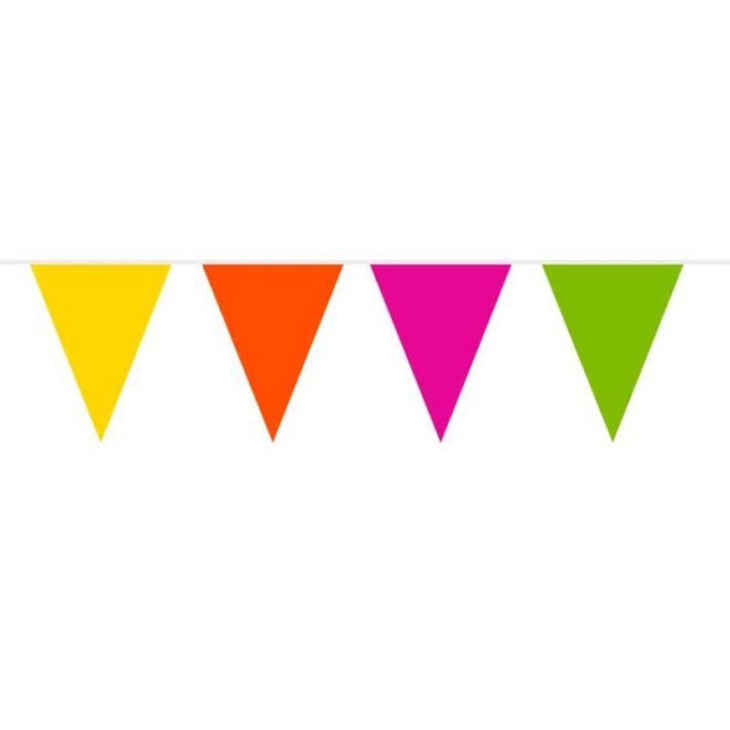 Brandvertragende vlaggenlijn met vrolijke regenboogkleuren (10m)