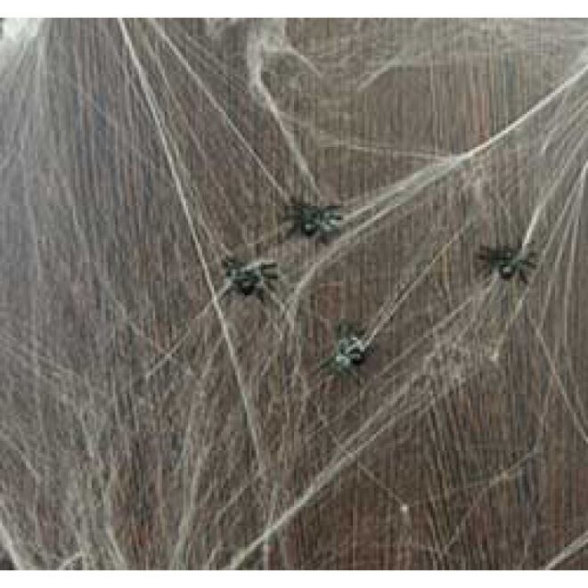 Spinnerag met zes spinnen erin voor Halloween