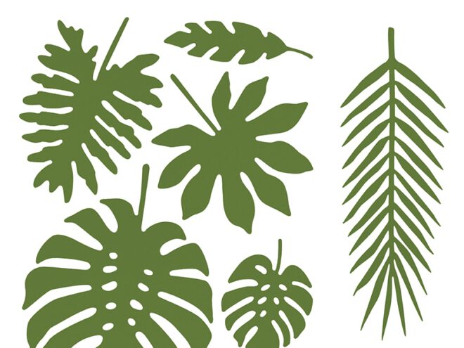 Decoratieve palmbladeren