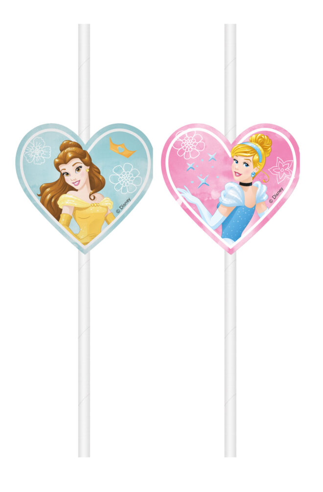 Disney Princess rietjes - 4 stuks