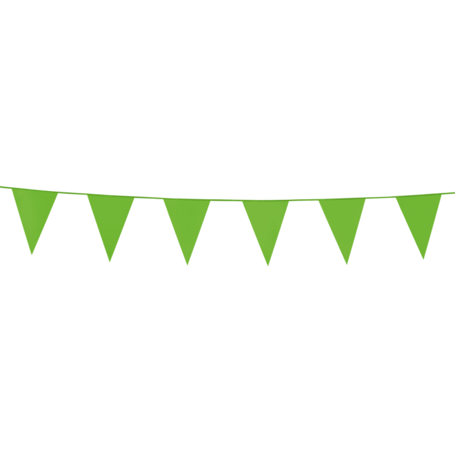 Mini vlaggenlijn (3m) - limoen groen