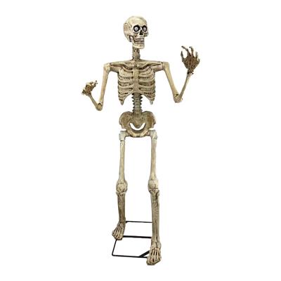 Skelet Bewegend - 1.50m