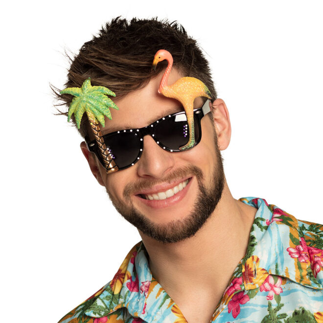 Partybril Hawaii